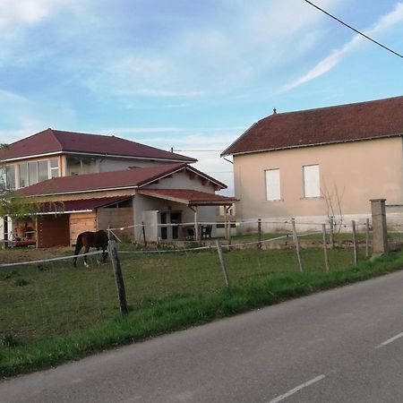 Maison De 100M2 Au Coeur D'Une Pension Equestre Les Sabots De Nina Marcollin 外观 照片